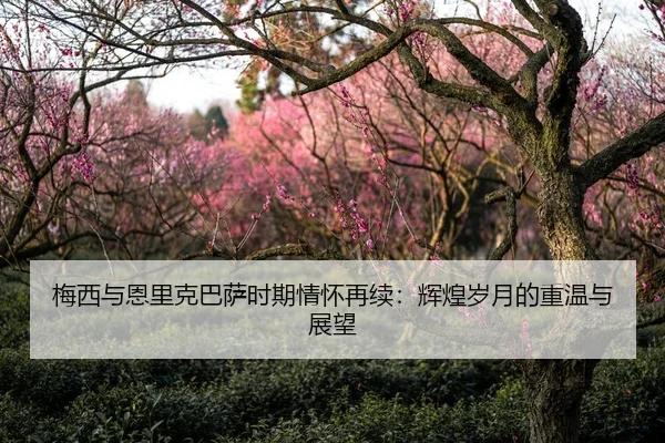 梅西与恩里克巴萨时期情怀再续：辉煌岁月的重温与展望